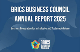 2025金磚峰會之金磚國家工商理事會能源、綠色經濟與氣候工作組建議和成果（一）